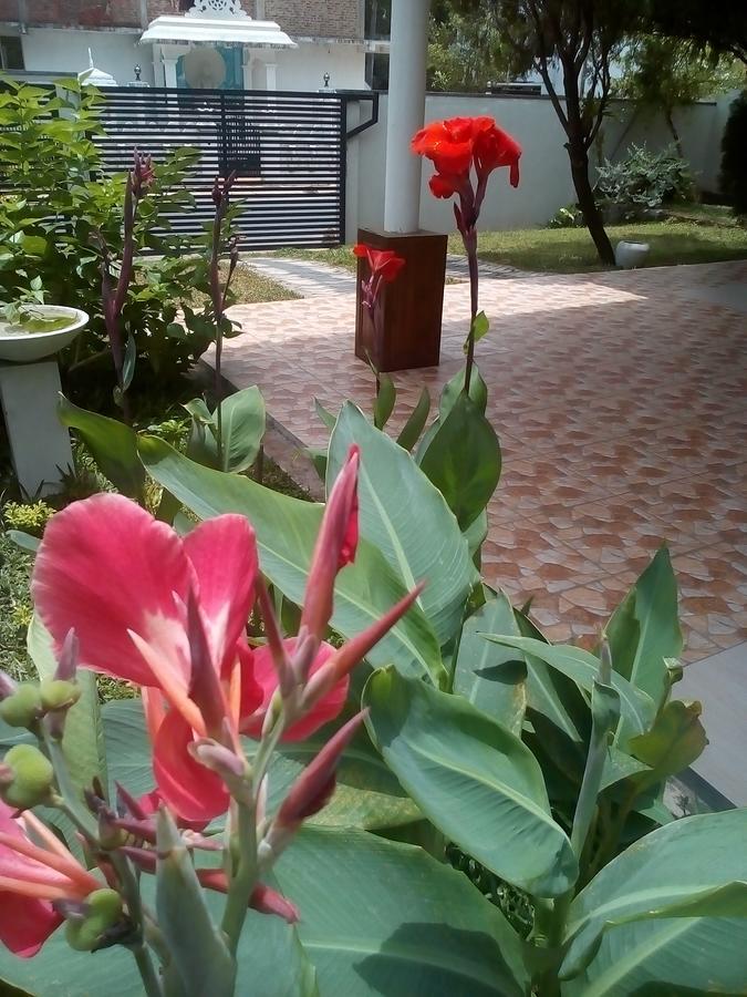 Bope Villa 26 מראה חיצוני תמונה